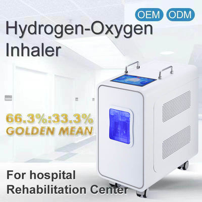 Good price 110v 220v হোম পিইএম হাইড্রোজেন ইনহেলেশন থেরাপি মেশিন 3000ml অনলাইন