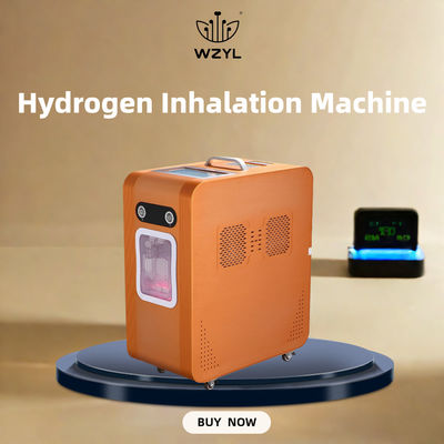 Good price AC220V হাইড্রোজেন অক্সিজেন ইনহেলার হাইড্রোজেন ইনহেলিং মেশিন 3000ml/M অনলাইন