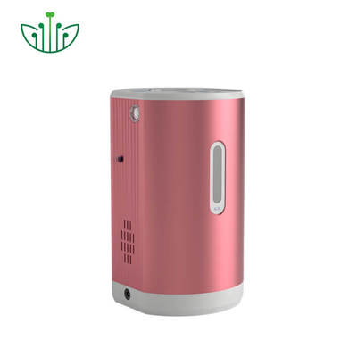Good price Portable Hydrogen Inhaler with 99.9% Pure Hydrogen 150ml/min Output and 75ml/min Oxygen for Therapy অনলাইন